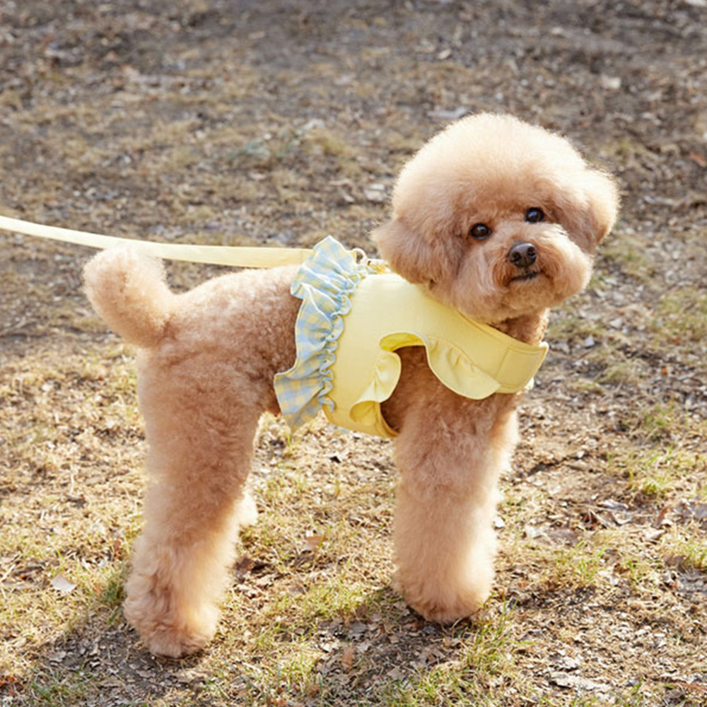 Dog Color Contrast Traction Ro - Lace Teddy Lingerie 评论和价格