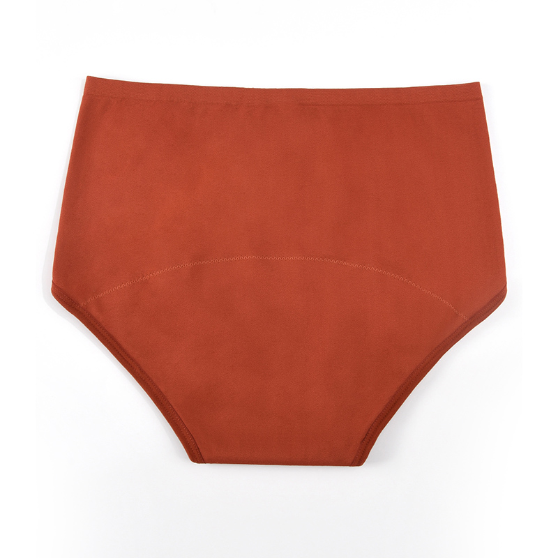 Women’s Seamless Period Pantie - Period Panty Absorbent 评论和价格