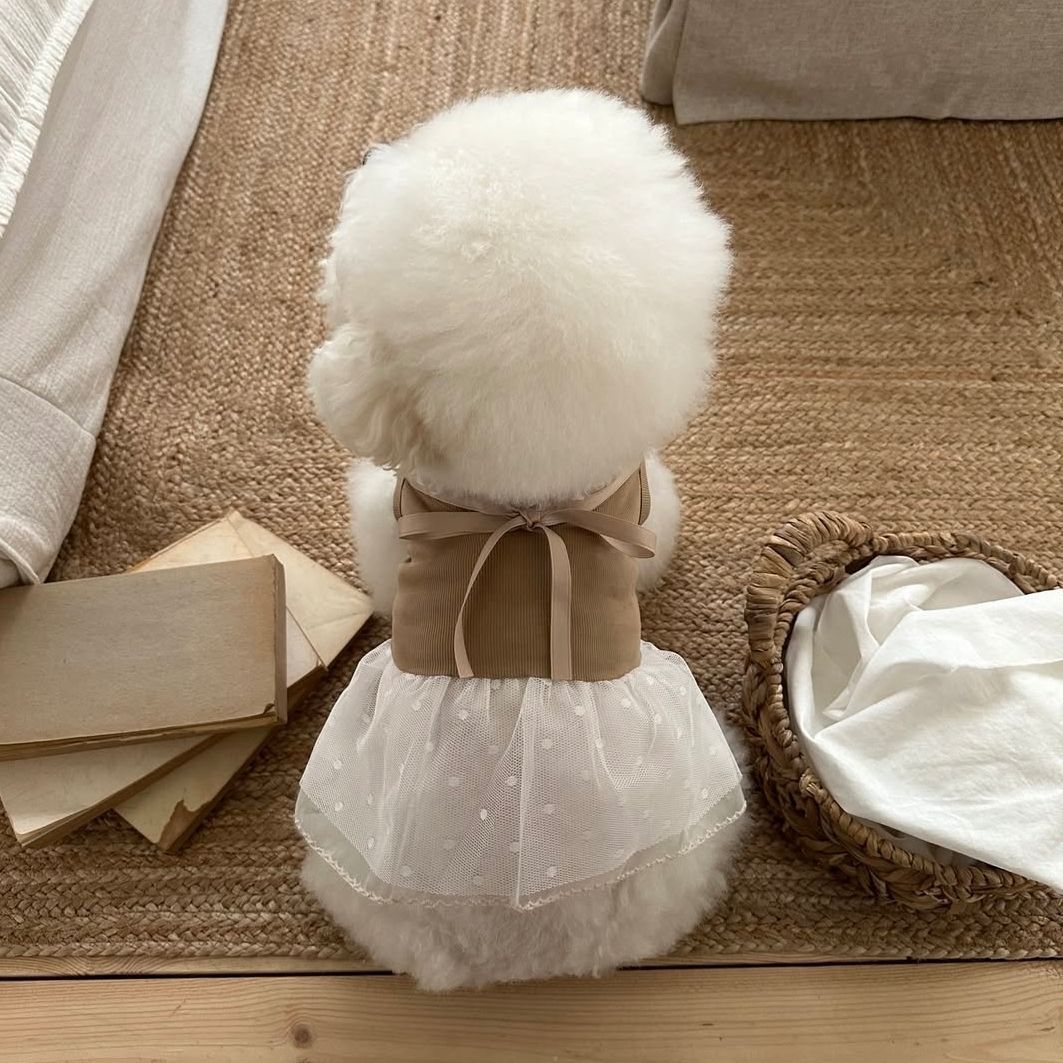 Spring and Summer Pet Lace Cam - Lace Teddy Lingerie 评论和价格