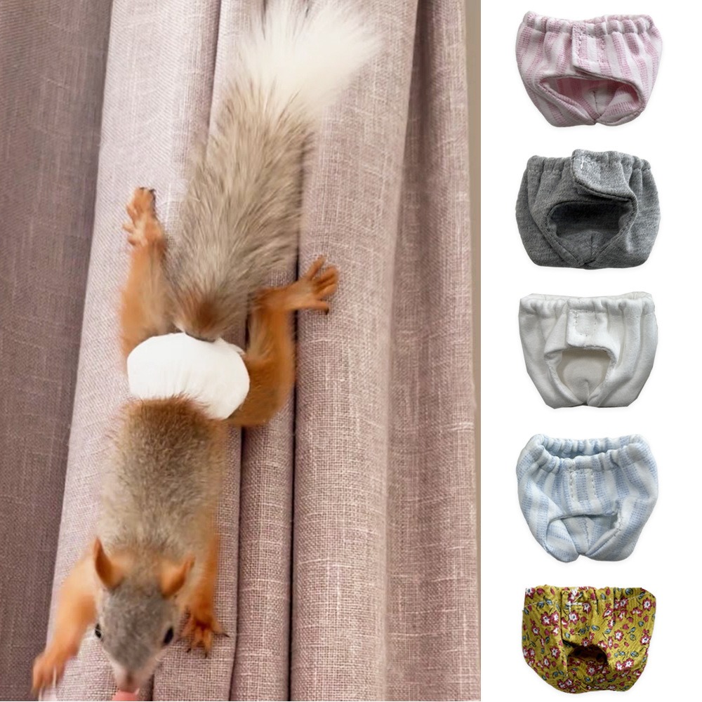 Absorbent Squirrel Diapers Lea - Period Panty Absorbent 评论和价格